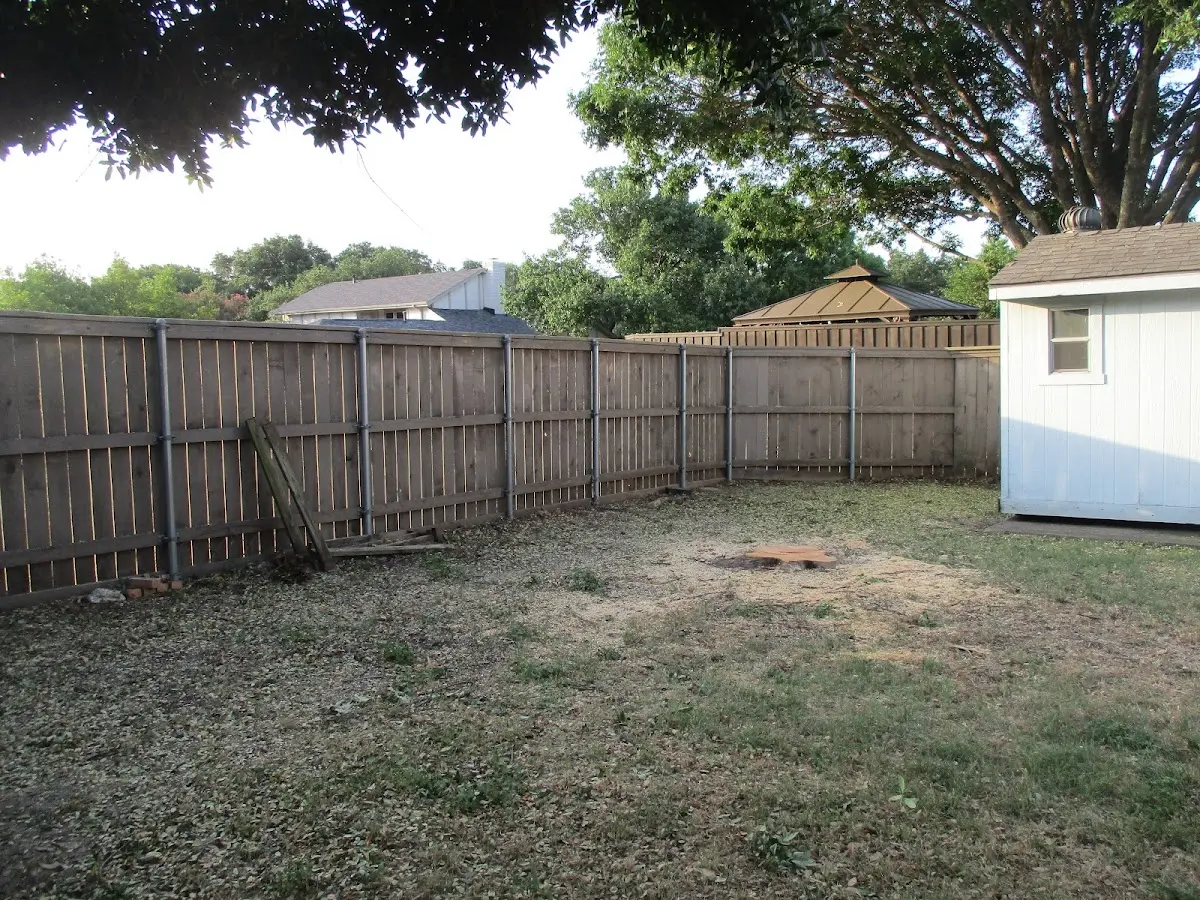 Cleared yard after professional tree removal in Essie